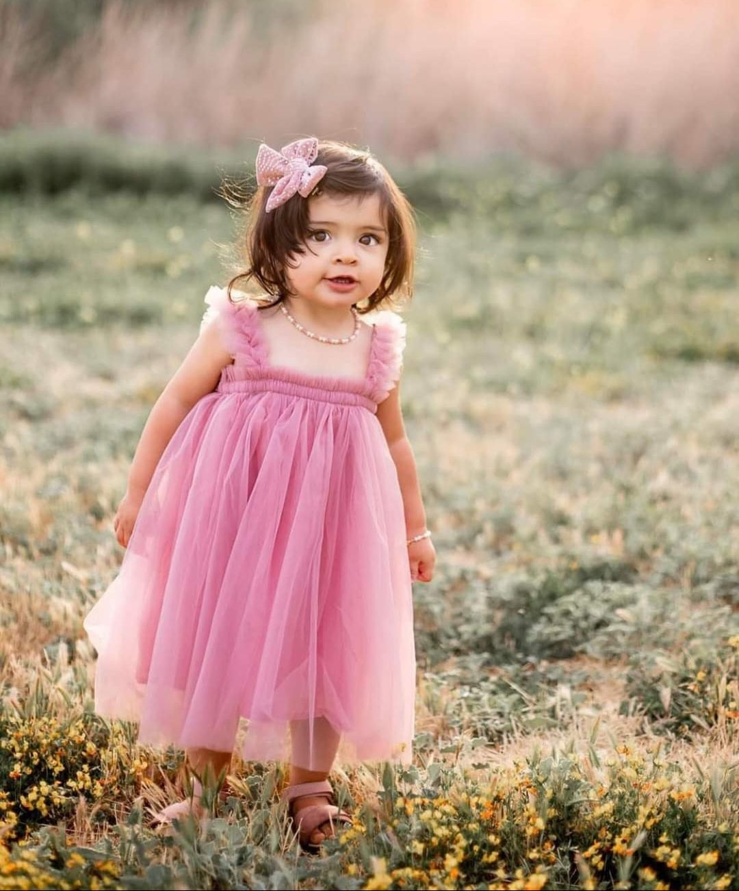 Blush Tulle Dress - Image 3
