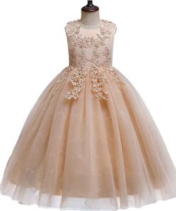 Ivory Dress Embellished Special Occasions Dress