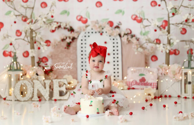 Embroidered Cherry Tulle Dress