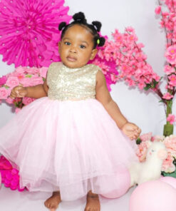 Gold Sequence Pink Tutu Dress - Image 10