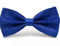 Royal Blue Silk Bowtie