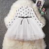 Winter polka tulle dress